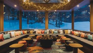 TOMC Nest Bar_03-swhr